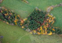 Comment Maison 676 optimise le GEO pour propulser votre visibilité