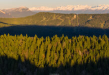 Service drone professionnel pour vidéos et photos